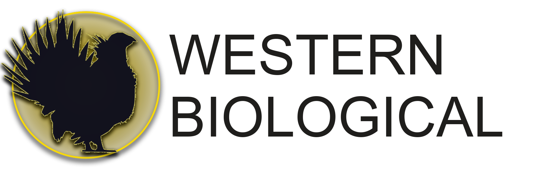 new-logo